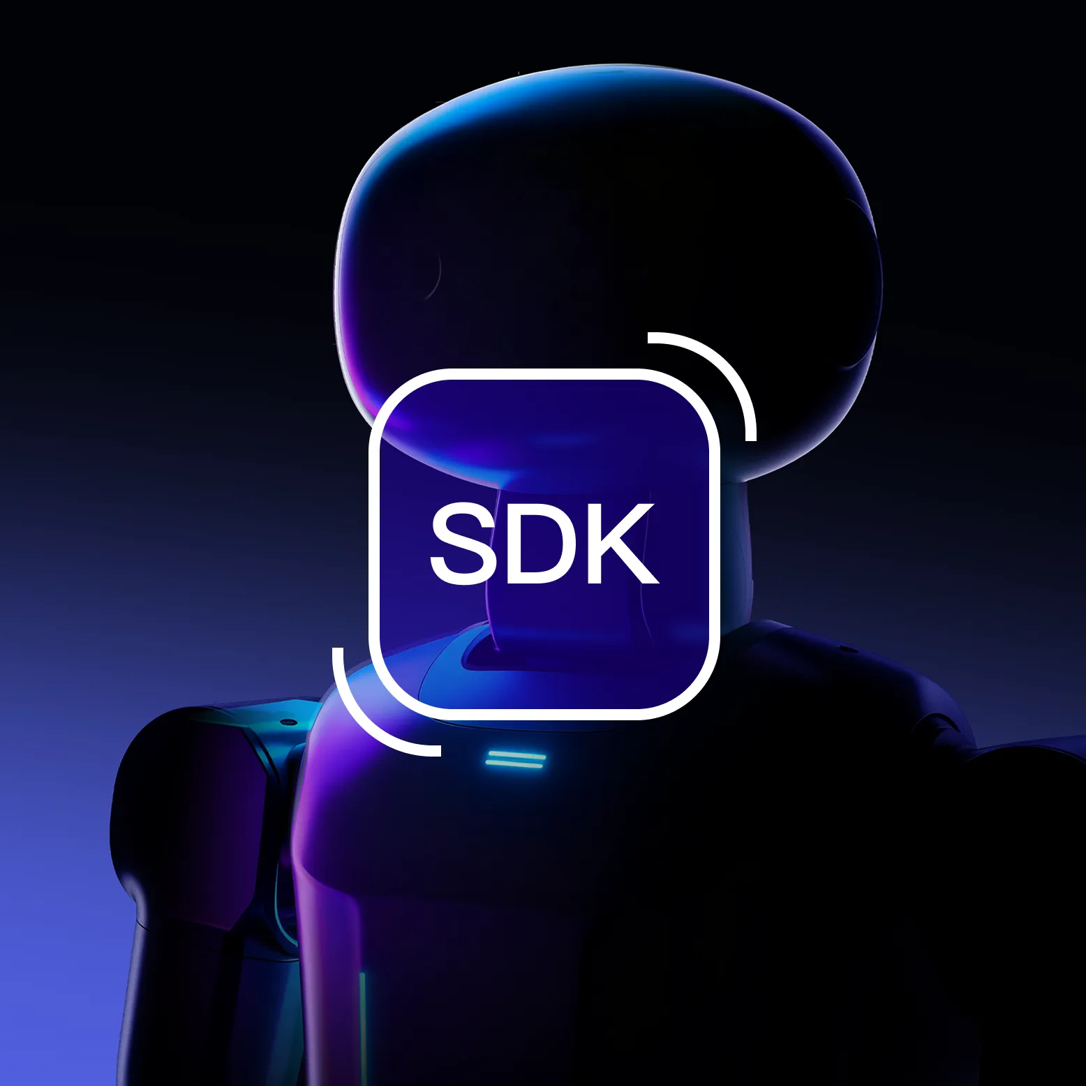SDK