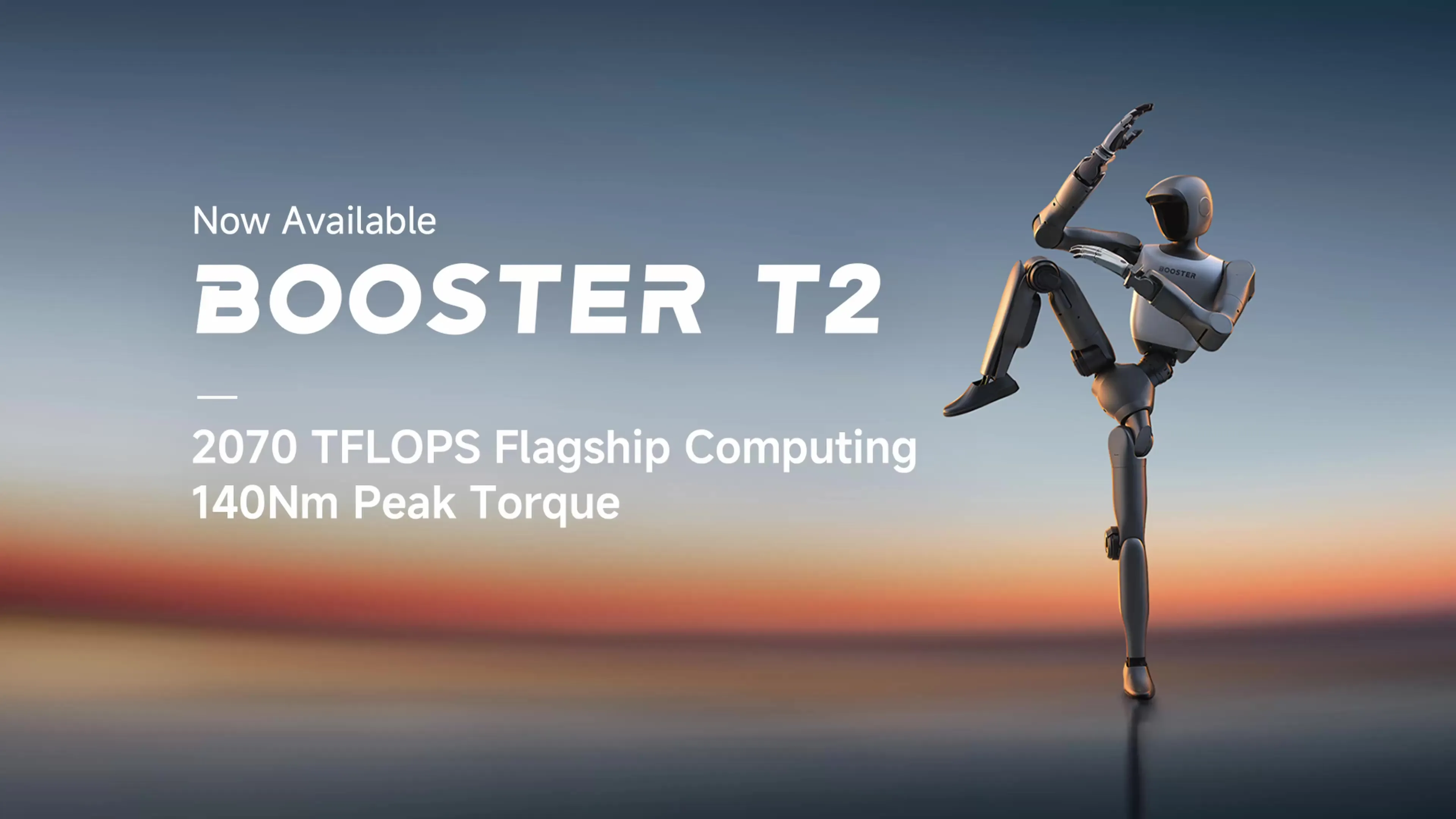 T2 — image 5